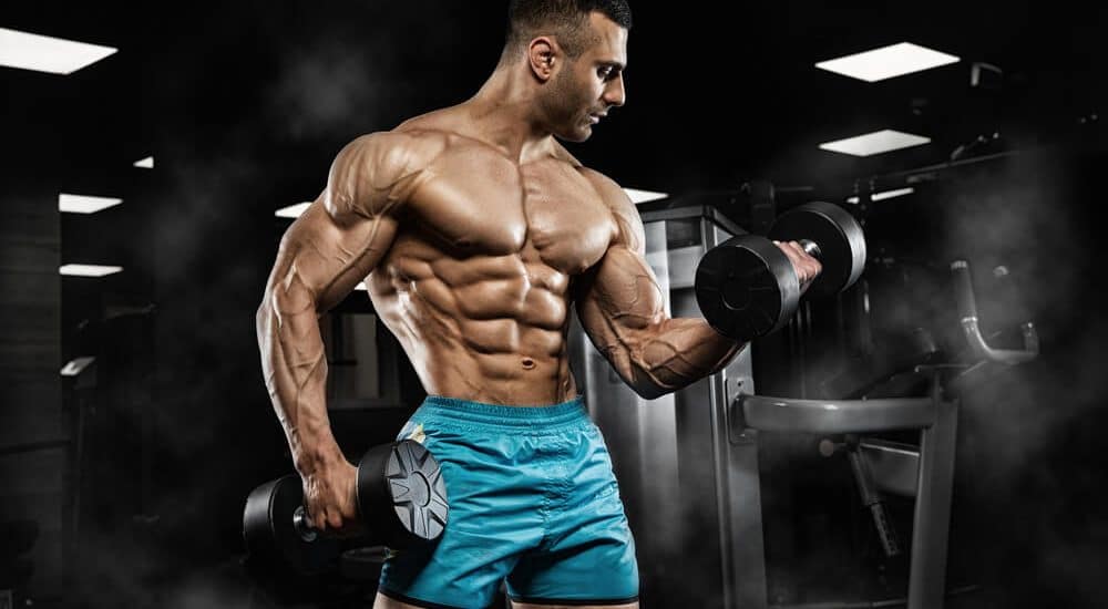 Muscle Building Tips: How to Choose the Right Products post thumbnail image