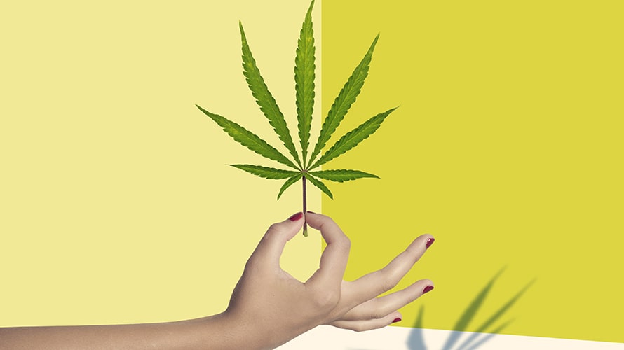 Tips For Cannabis Marketing post thumbnail image