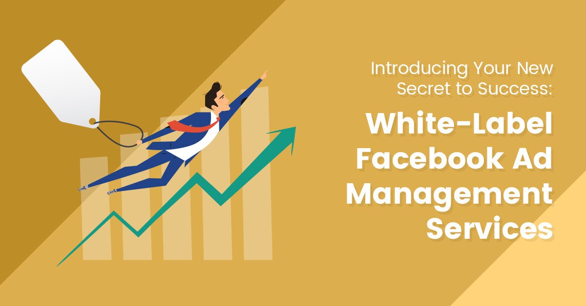 Acquire an excellent white label Facebook Ads service from an agency post thumbnail image