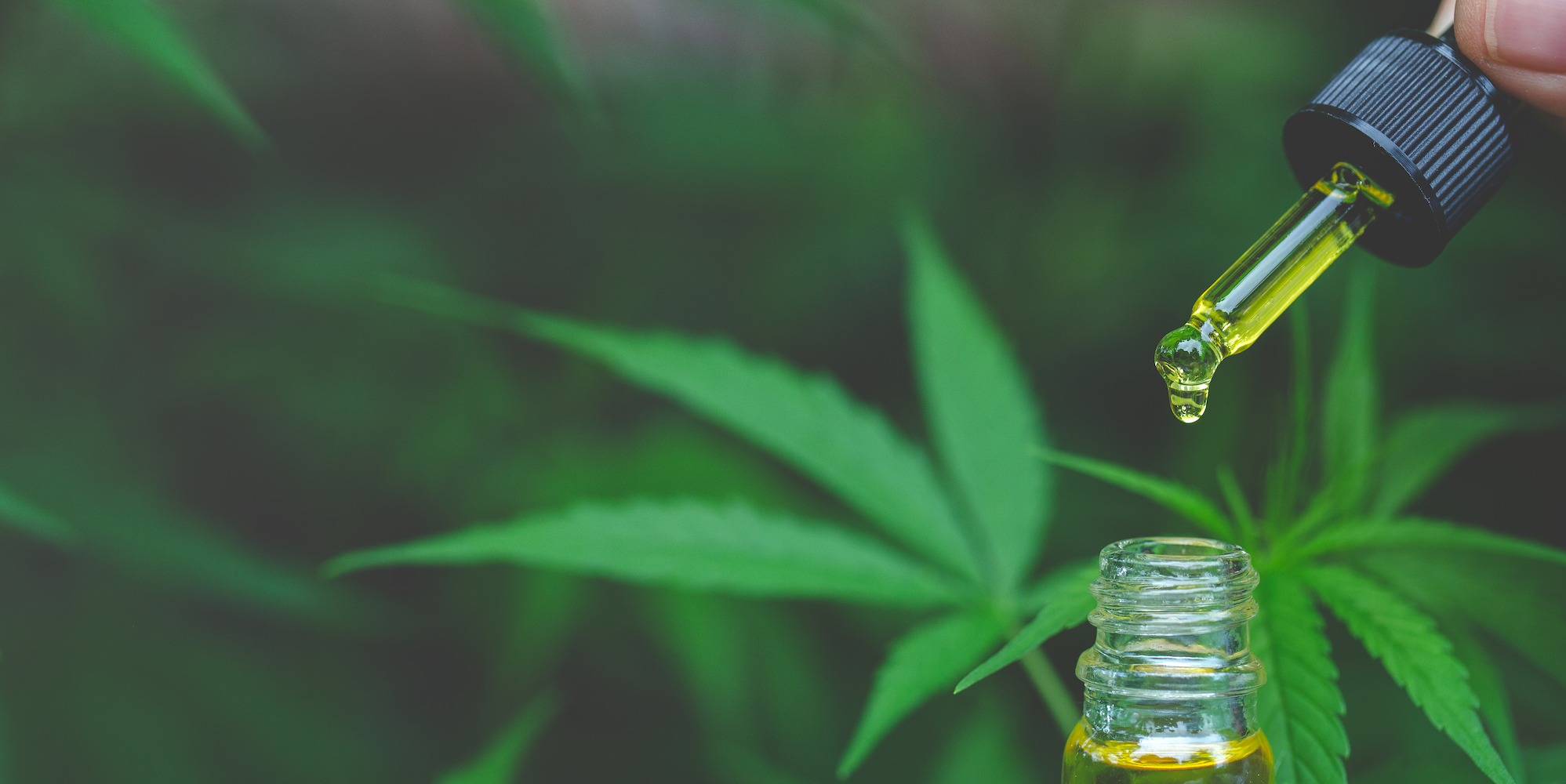 What are the benefits of CBD? post thumbnail image
