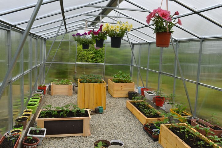 The Incredible Benefits Of Owning A Greenhouse post thumbnail image
