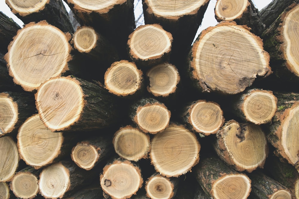 5 Mistakes to Avoid When Choosing a Firewood Supplier post thumbnail image