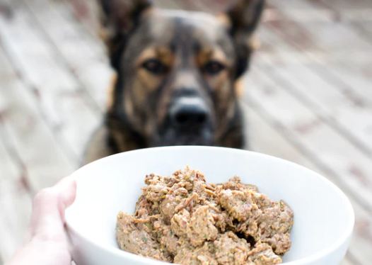 Raw dog food Recipes for Homemade Meals post thumbnail image