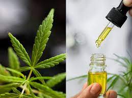 Benefits of Using Formulaswiss cbd oil included in a wholesome Life-style post thumbnail image