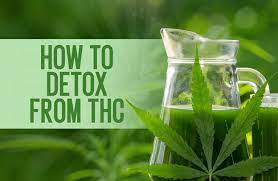 Fast-Acting THC Detox Solutions: Top Strategies for Quick Results post thumbnail image
